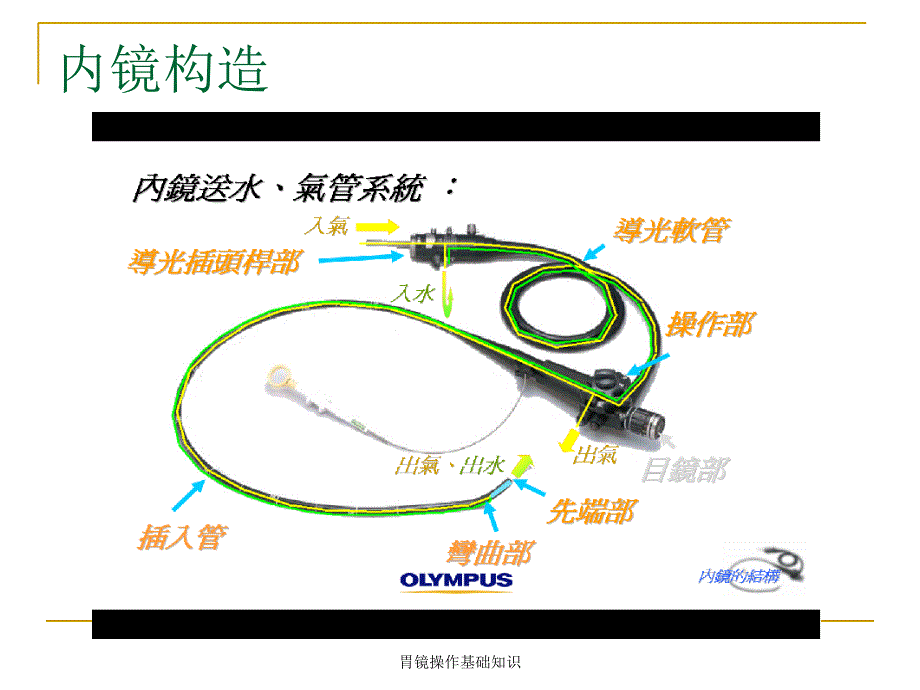 胃镜操作基础知识经典实用_第2页