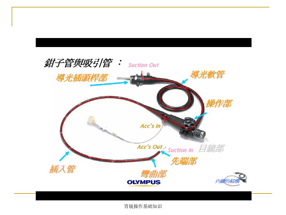 胃镜操作基础知识经典实用_第3页