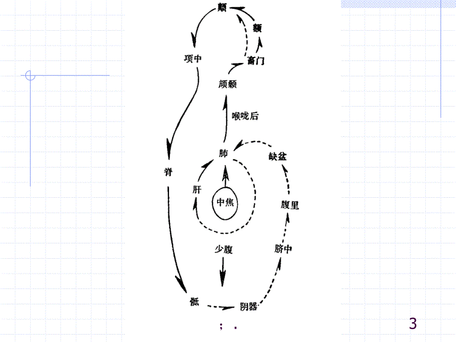 人体经络穴位图谱13督脉ppt课件_第3页