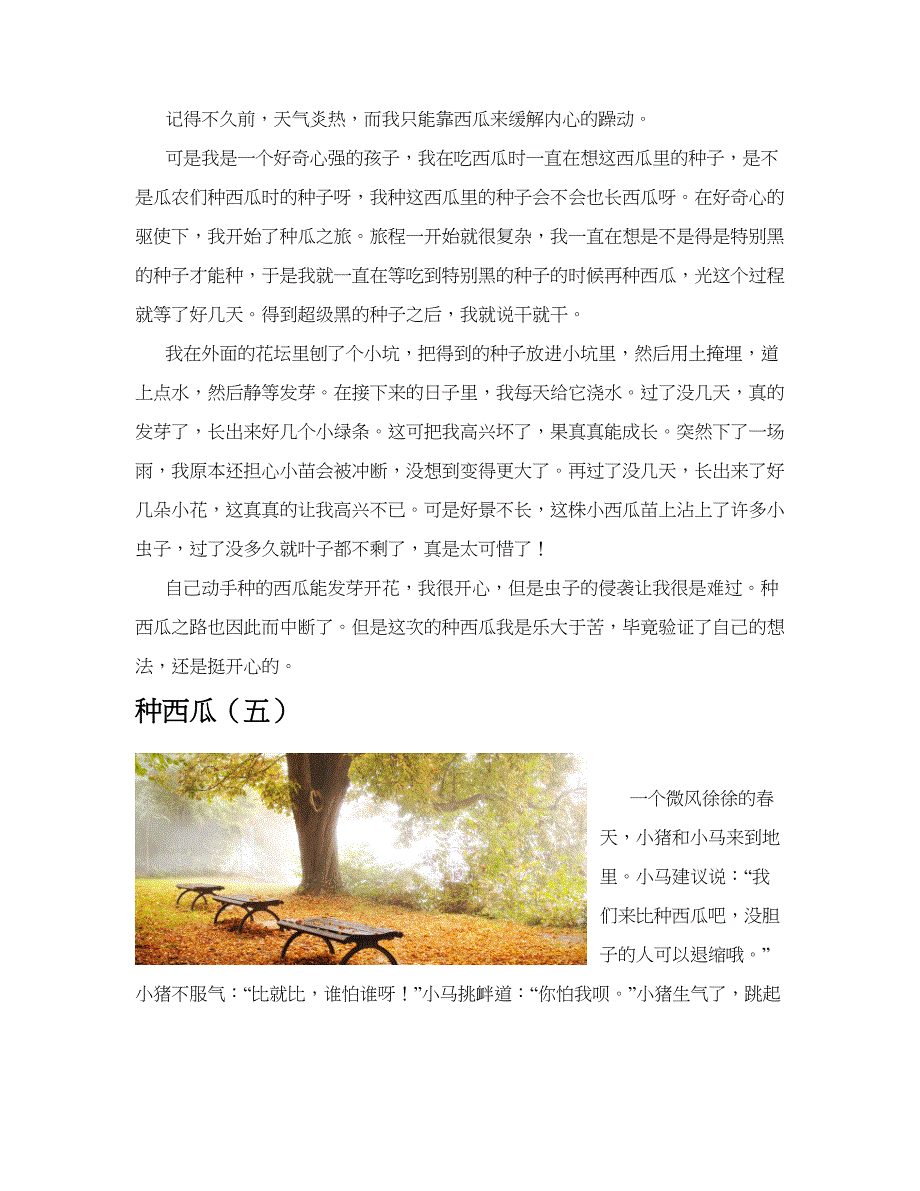 种西瓜(共10篇).docx_第3页