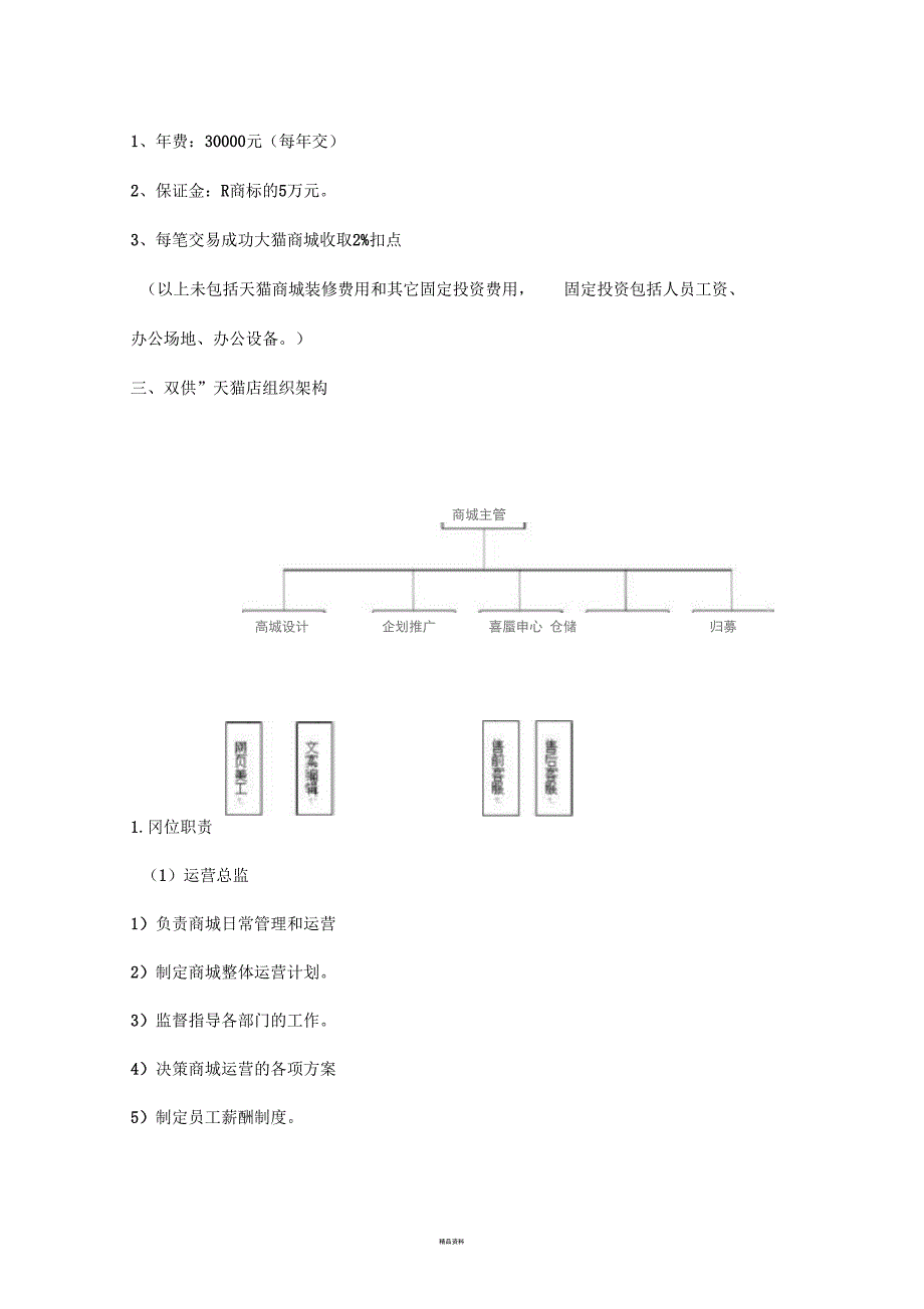 天猫店运营计划书_第3页