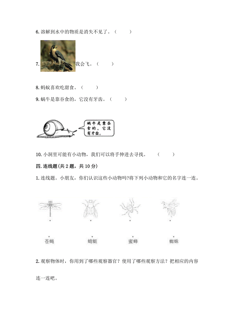 教科版一年级下册科学知识点期末测试卷精品【完整版】.docx_第4页