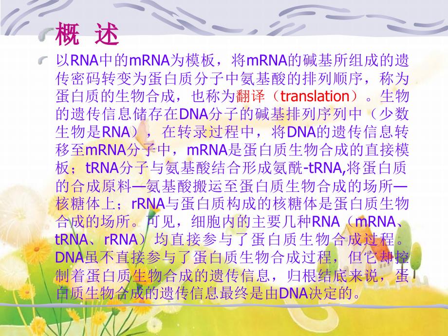 制医学课件生化蛋白质的生物合成_第2页