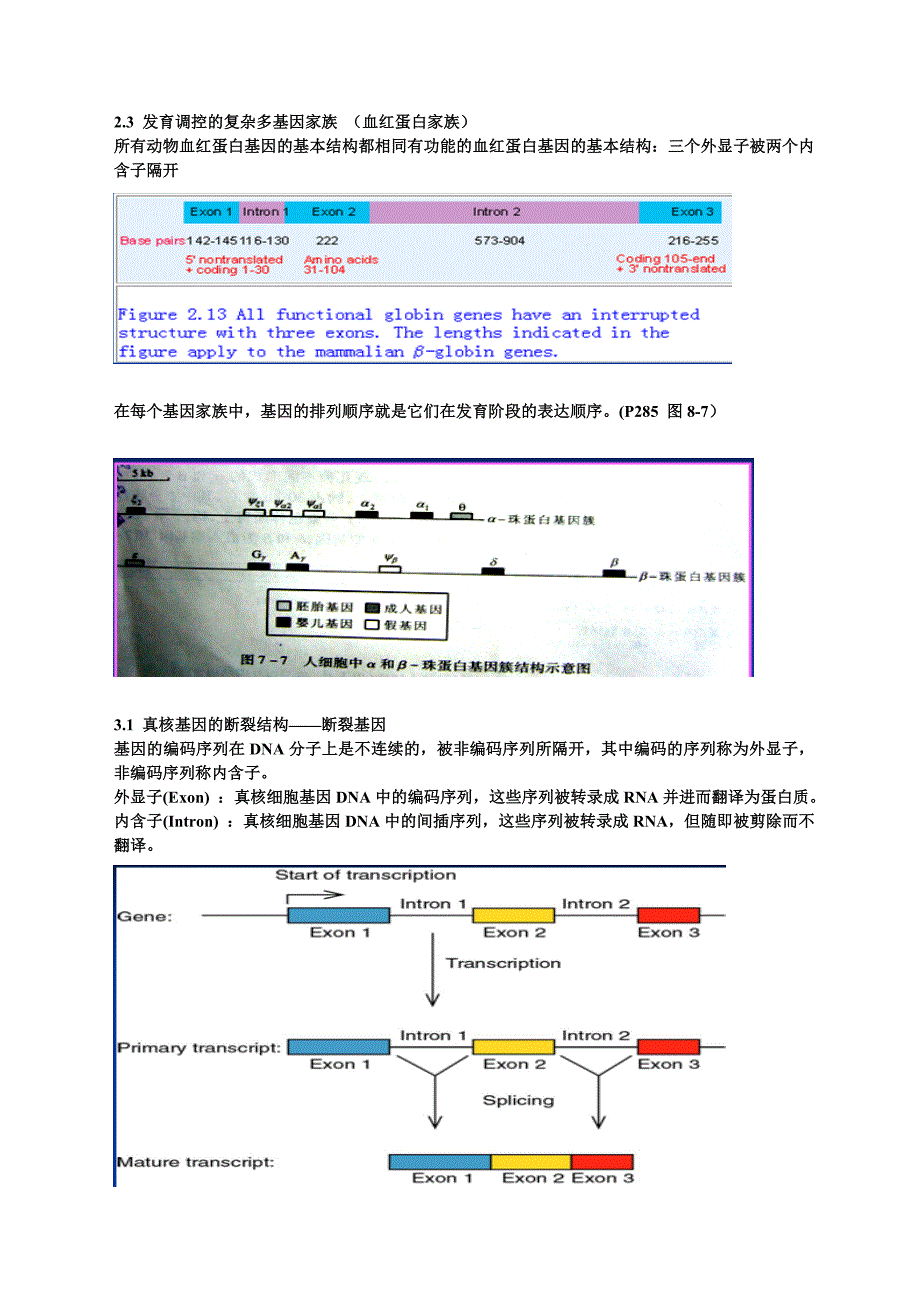 第八章真核基因的表达调控.doc_第4页