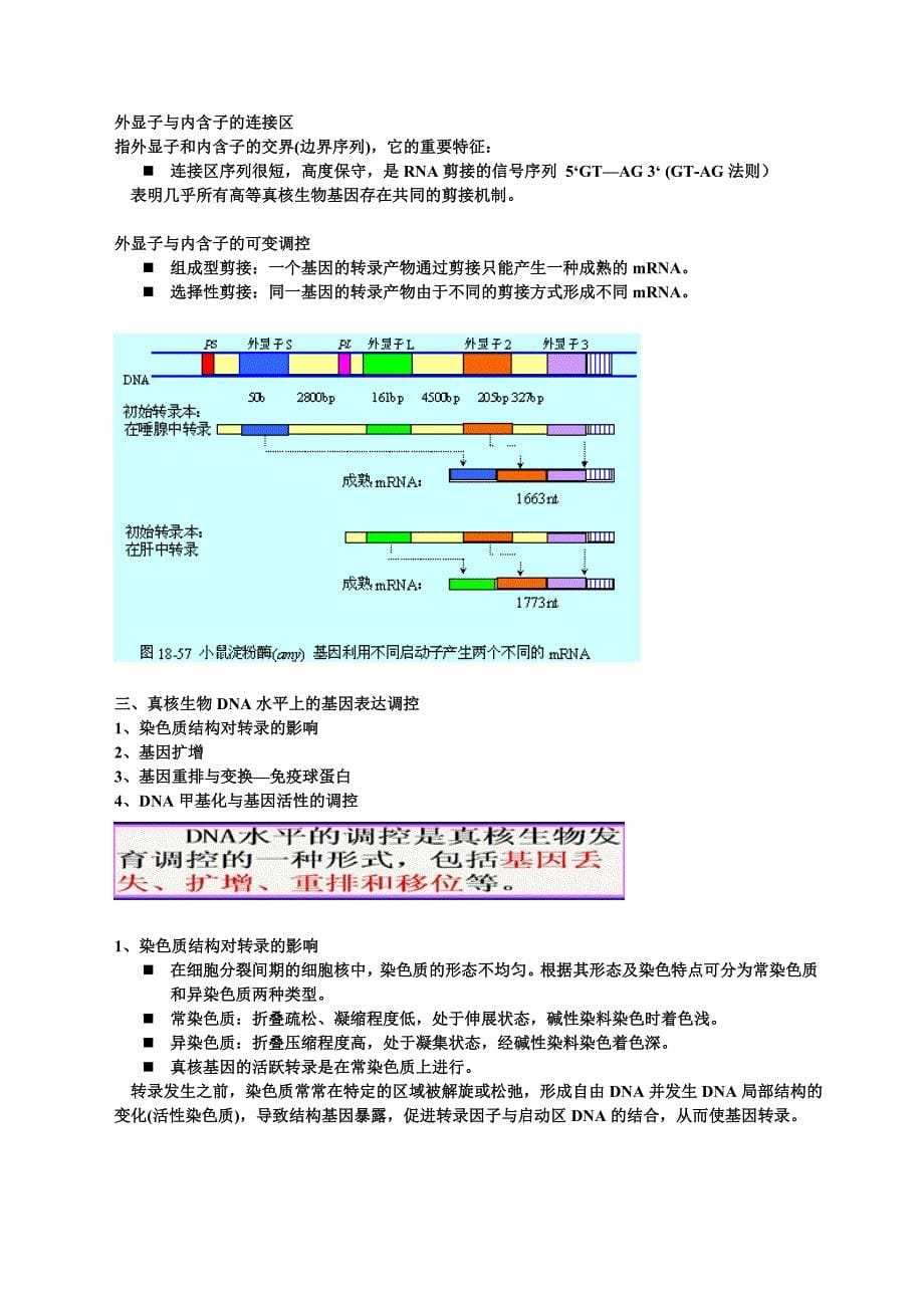 第八章真核基因的表达调控.doc_第5页