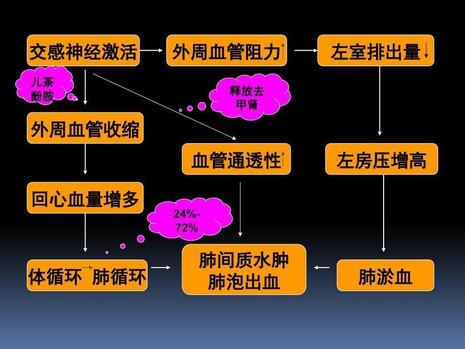 肺功能保护策略_第5页