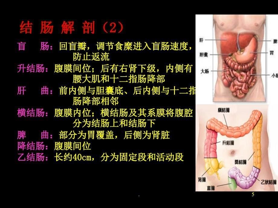 结直肠肿瘤PPT演示课件_第5页