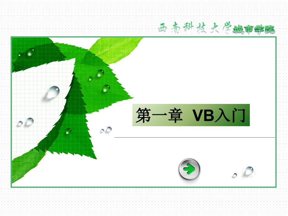 计算机VB入门PPT课件_第1页