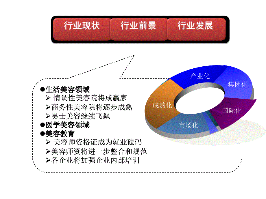 美容美体行业分析.ppt_第4页