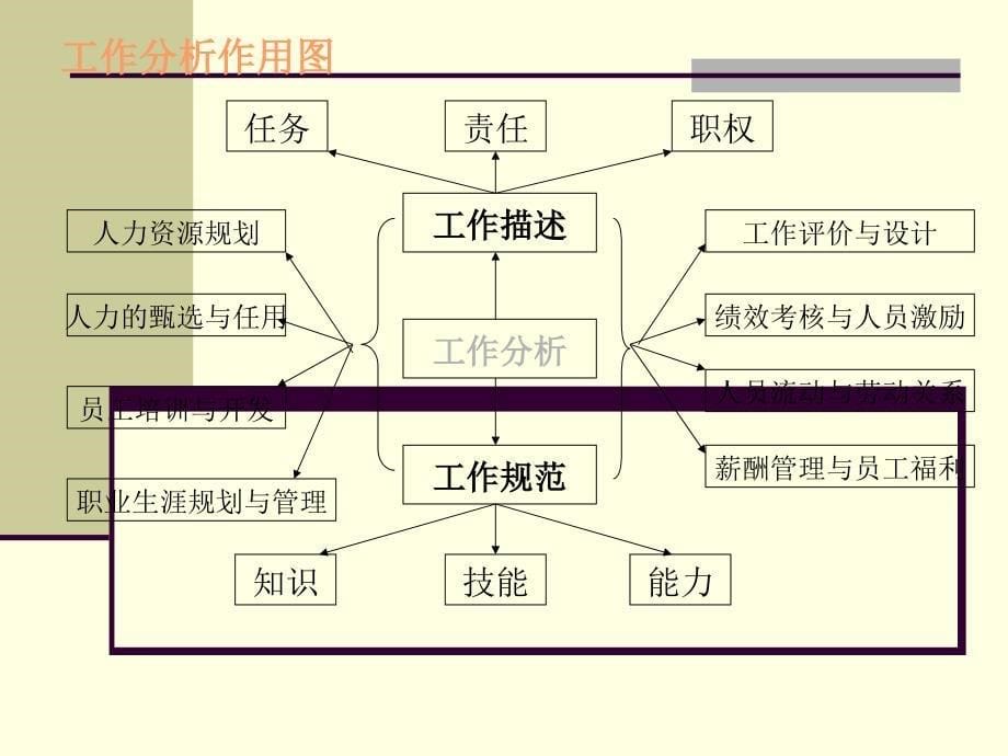 社会工作行政第三部分——人力资源管理人员招聘_第5页