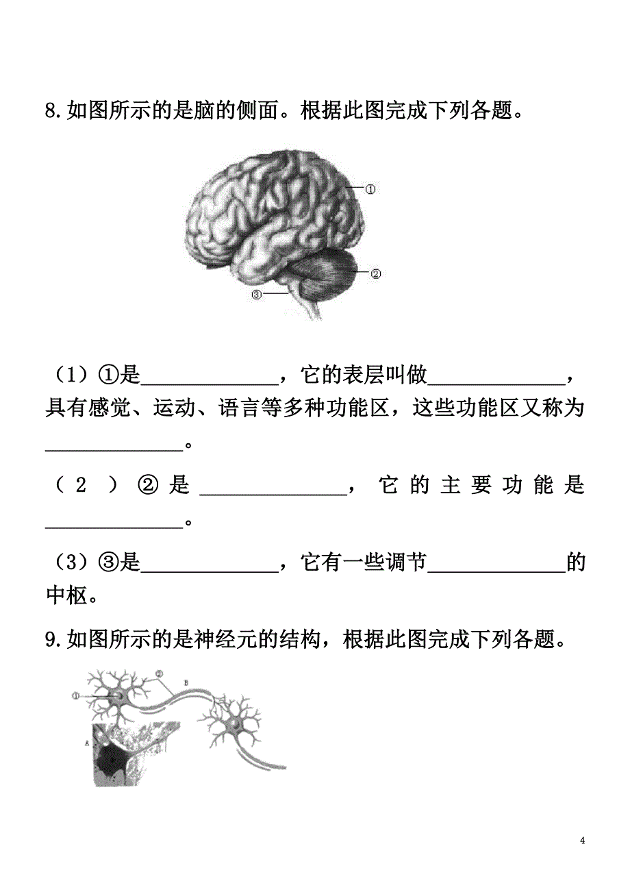 七年级生物下册4.6.2神经系统的组成同步测试（A卷）（新版）新人教版_第4页