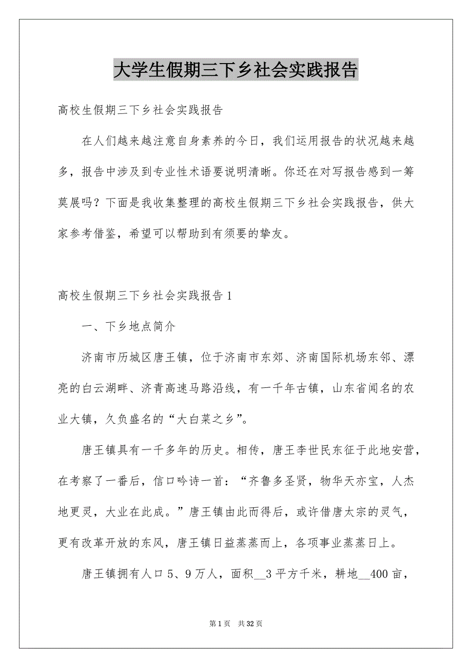 大学生假期三下乡社会实践报告_第1页