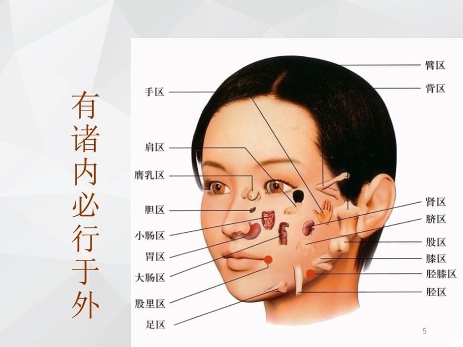 （优质医学）中医面诊_第5页