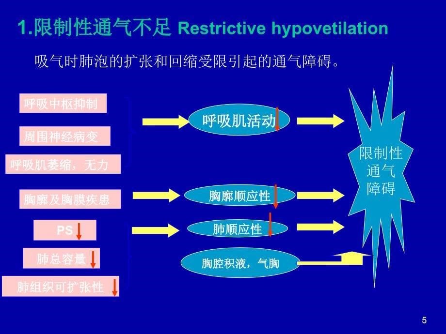 肺生理肺功能.ppt_第5页