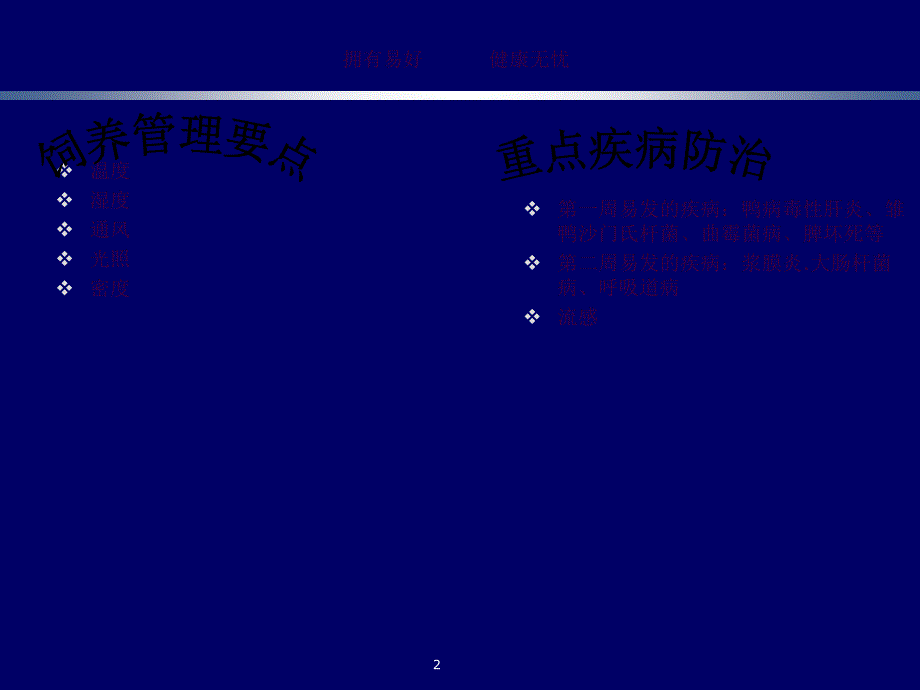 肉鸭的饲养疾病防治ppt课件_第2页