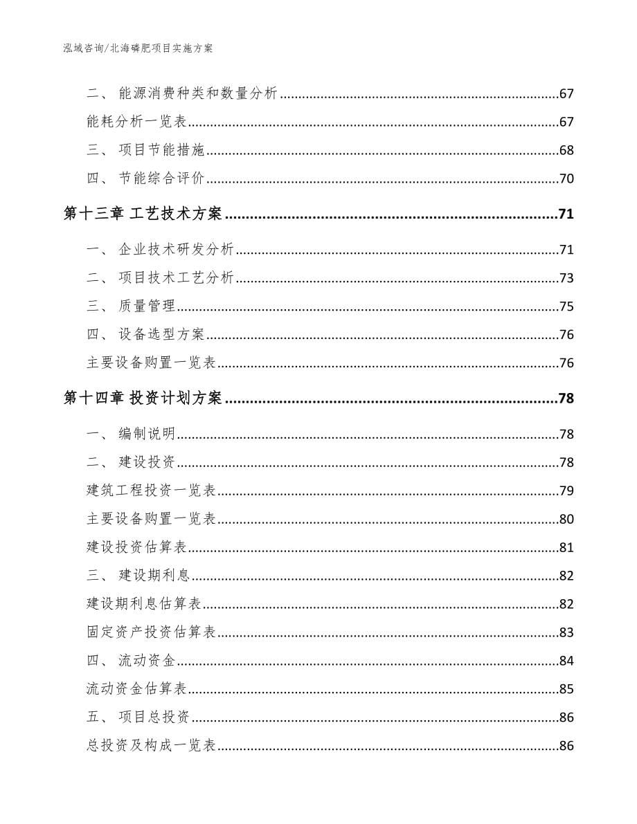 北海磷肥项目实施方案模板范本_第5页