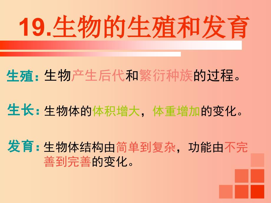 八年级生物上册19.1人的生殖和发育课件3新版北师大版.ppt_第1页