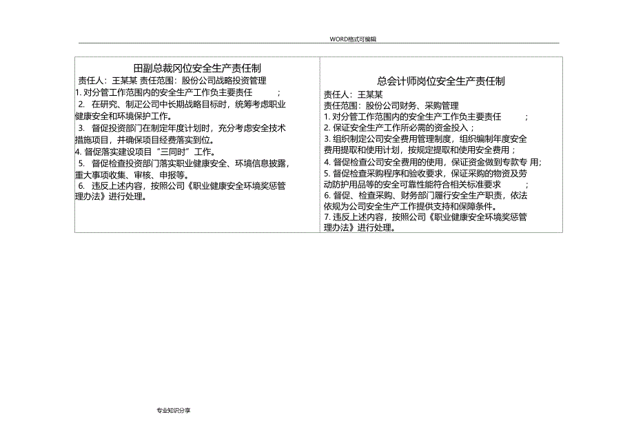 企业全员安全生产责任制模板和工作胸卡模板_第5页