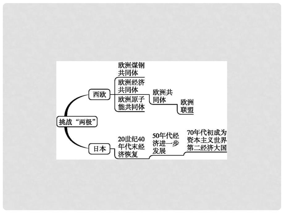 九年级历史下册 第三单元 两极下的竞争 13 挑战“两极”课件 北师大版_第5页