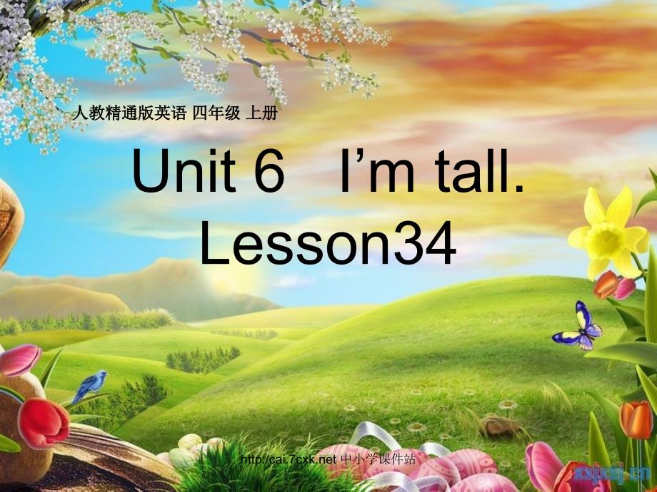 人教精通版英语四上Unit 6I’m tallLesson 34ppt课件1_第1页