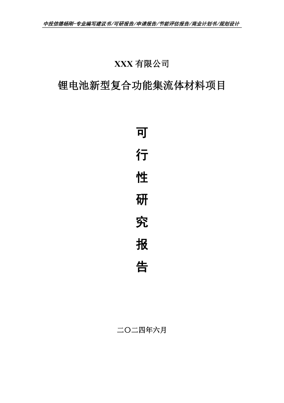 锂电池新型复合功能集流体材料申请报告可行性研究报告.doc_第1页