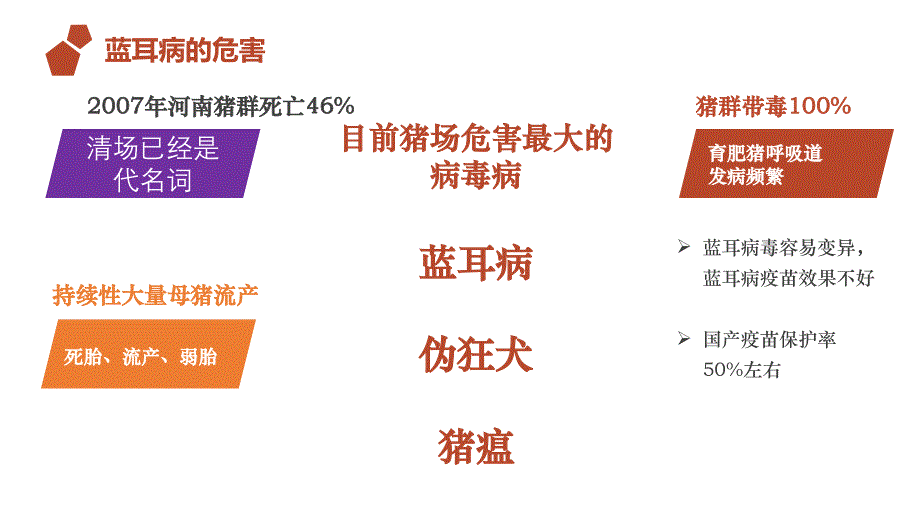 猪繁殖与呼吸综合症_第2页