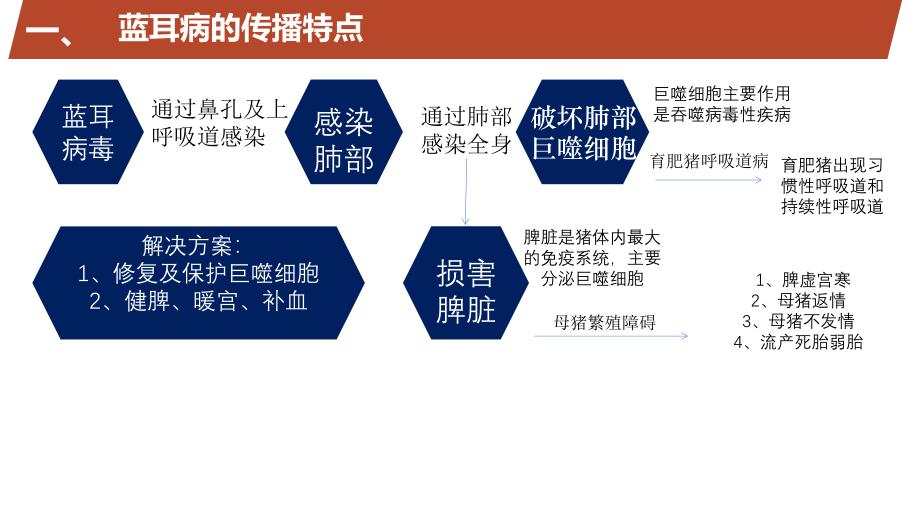 猪繁殖与呼吸综合症_第3页