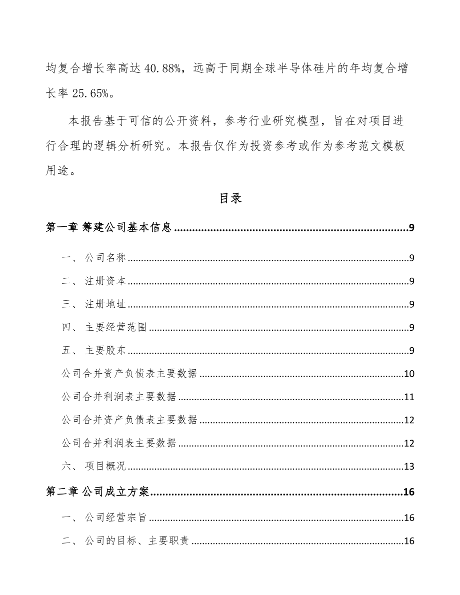 武汉关于成立半导体硅片公司可行性研究报告_第3页