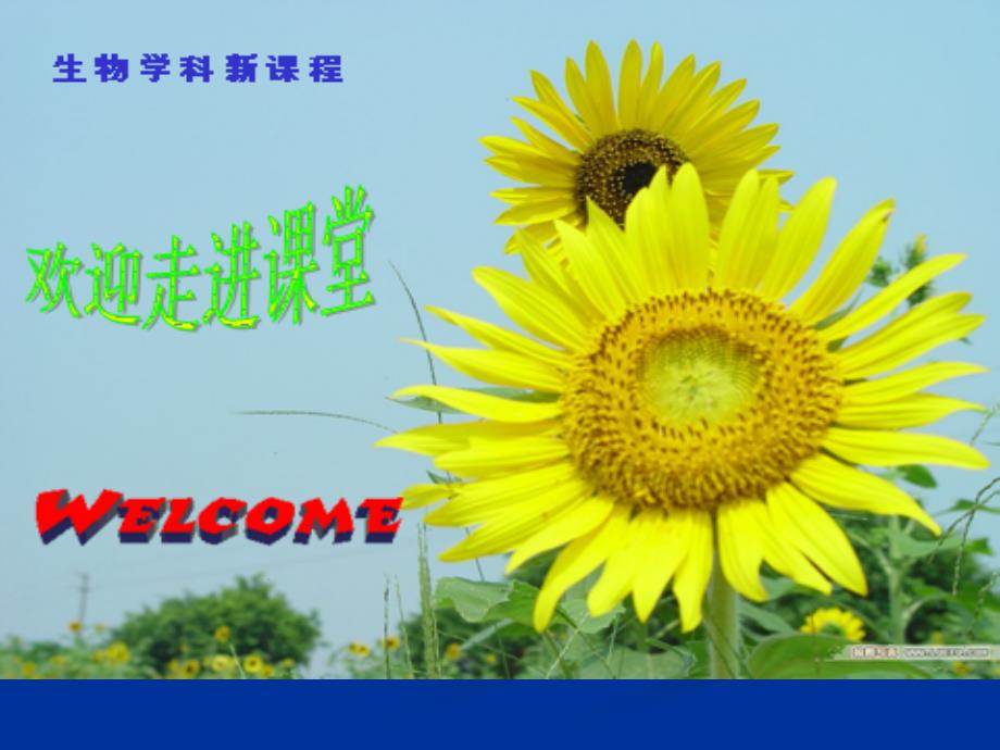 23遗传信息的携带者—核酸_第1页