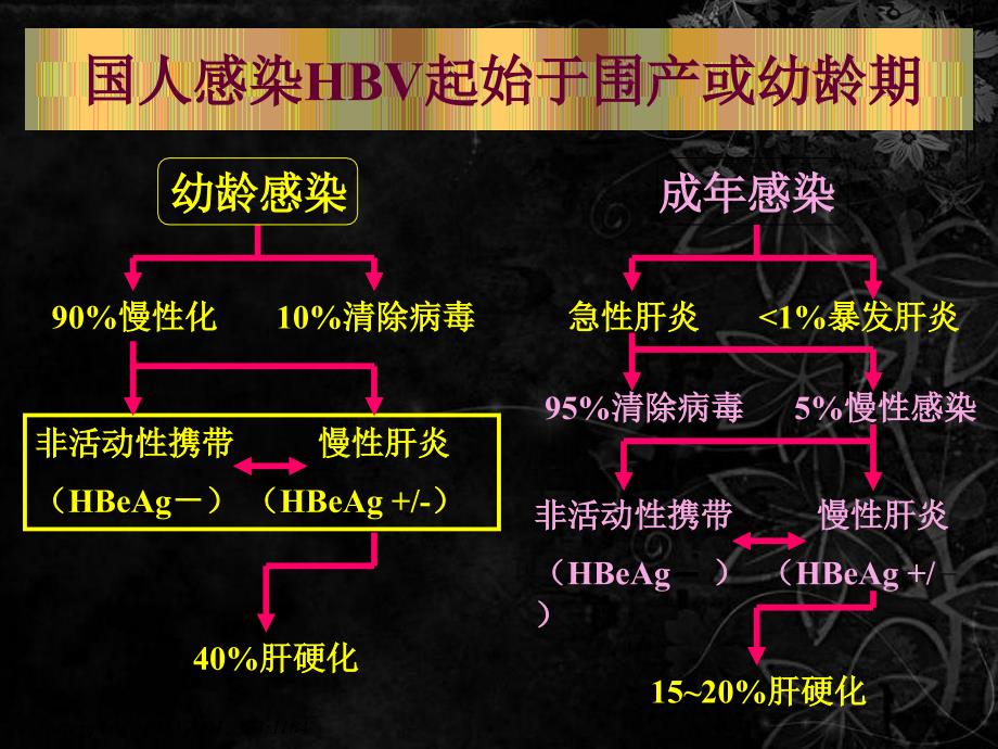 《慢乙肝抗病毒治疗》PPT课件.ppt_第4页