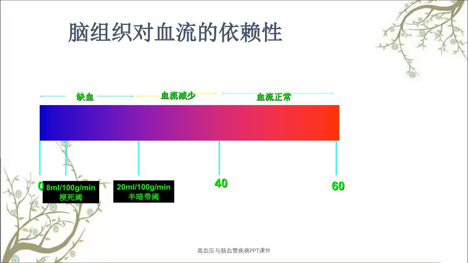 高血压与脑血管疾病PPT课件_第4页