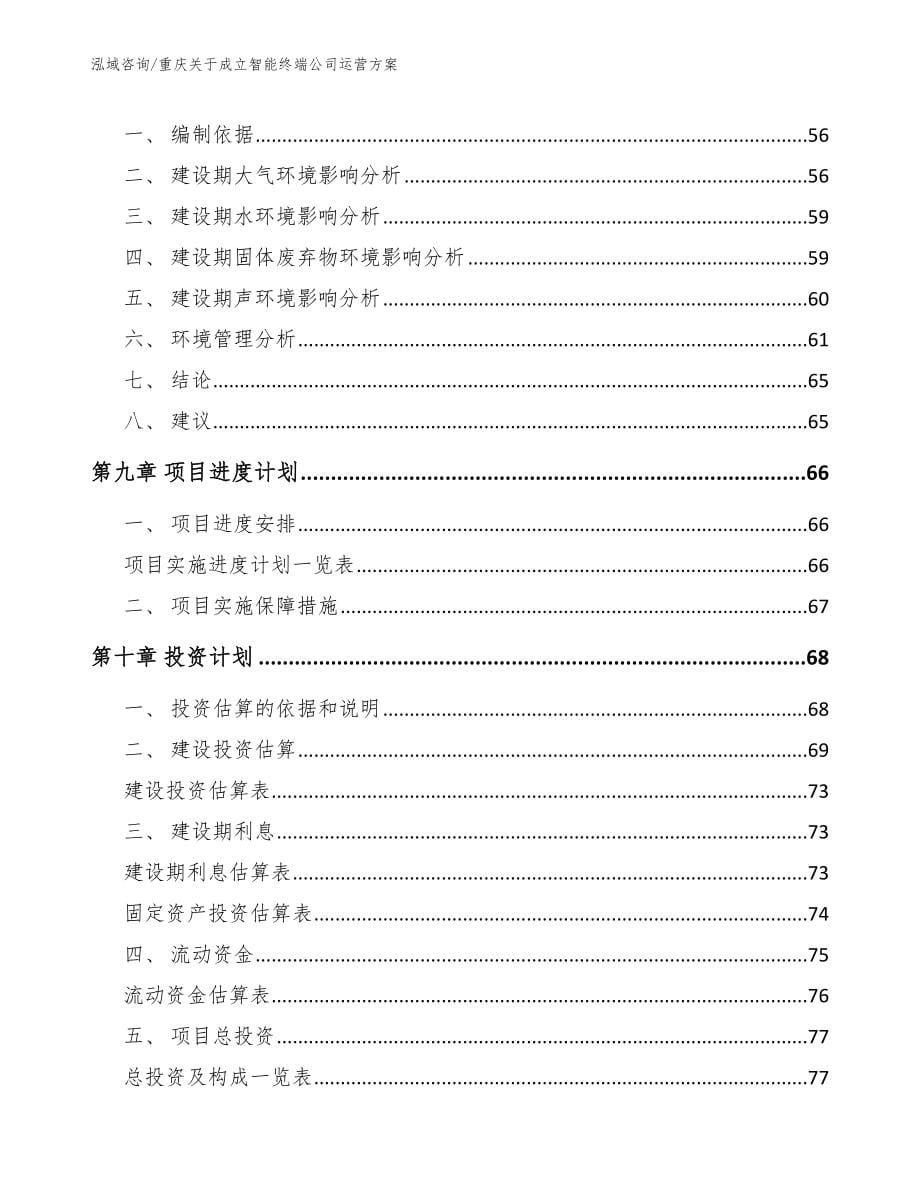 重庆关于成立智能终端公司运营方案【模板参考】_第5页