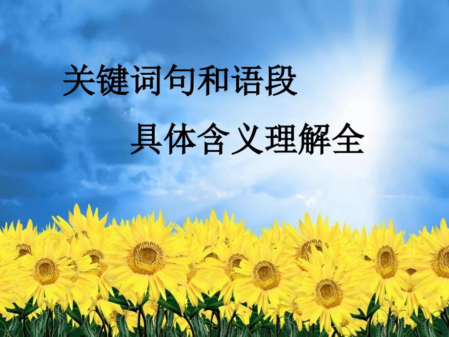 关键词句和语段具体含义理解全_第1页
