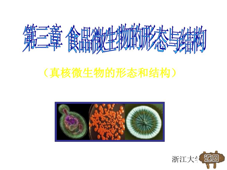 浙江大学食品微生物课件第2部分共四部分_第2页