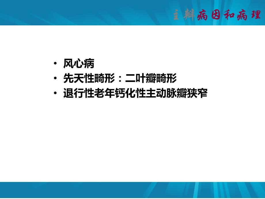 主动脉瓣疾病.ppt_第2页