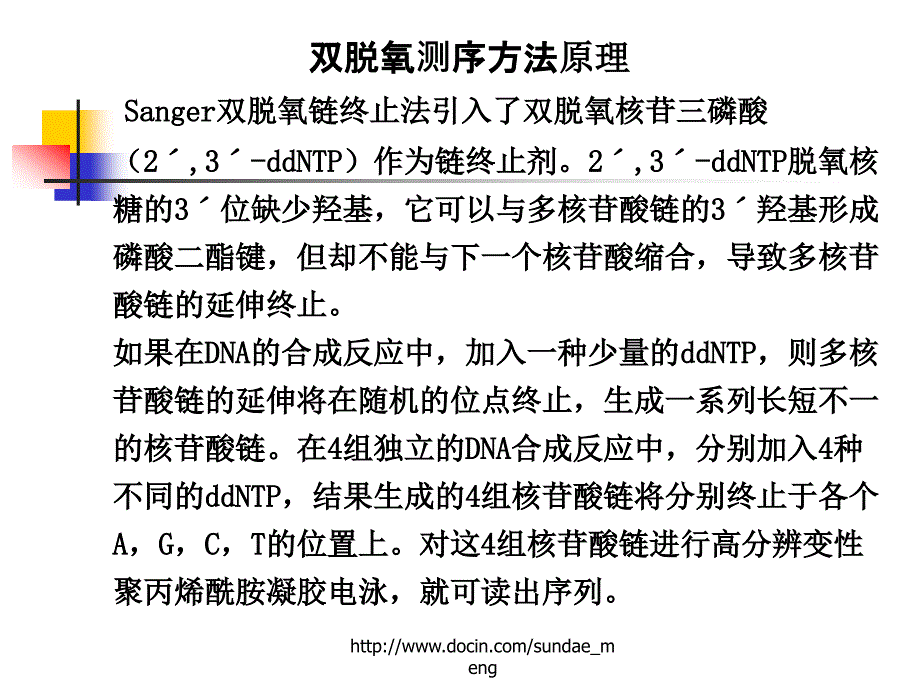 【大学课件】基因分析的基本策略_第4页