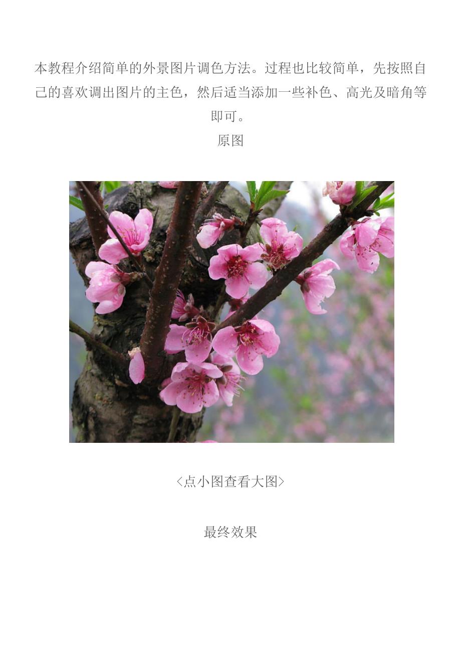 photoshop调出挑花图片漂亮的粉红色.doc_第1页