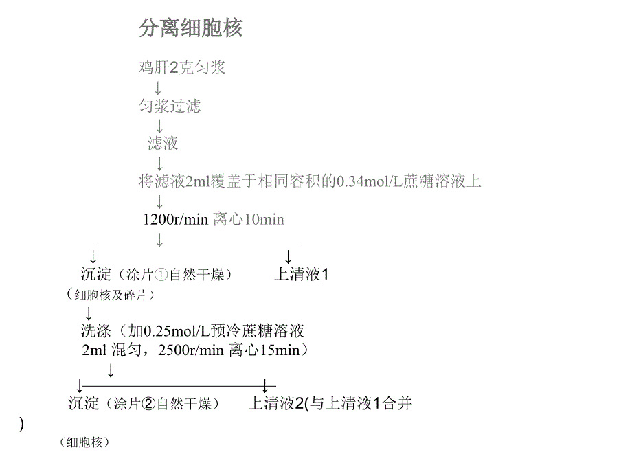 线粒体的分离与观察一、实验目的1.初步掌握用差速离心_第3页