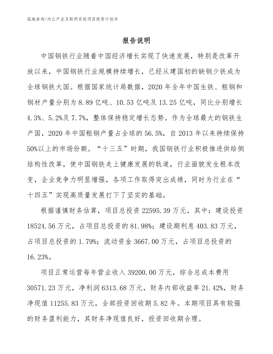 内江产业互联网系统项目投资计划书_第1页