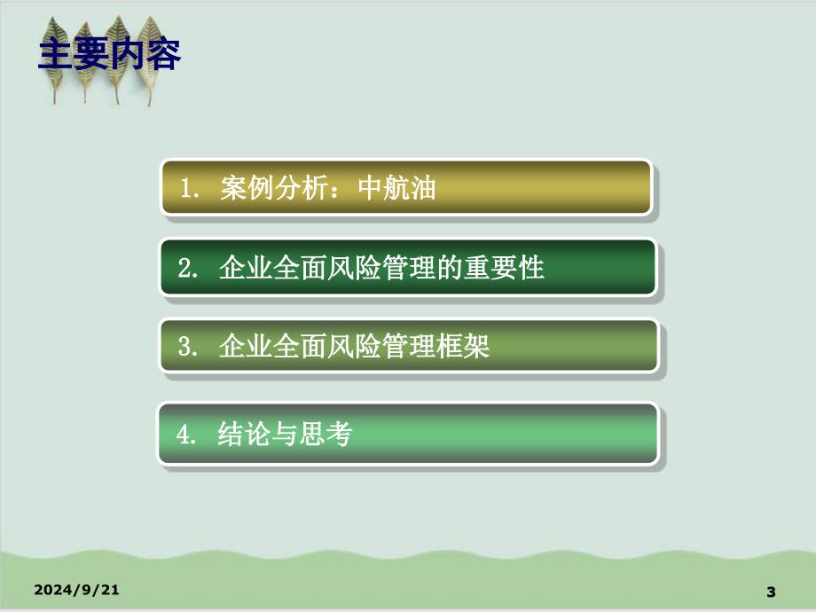 企业全面风险管理专题课件_第3页