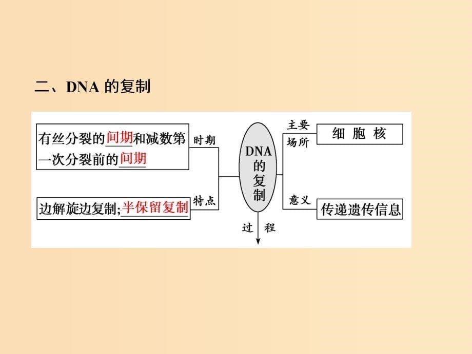 2019版高考生物一轮复习第六单元遗传的分子基础第二讲DNA分子的结构复制及基因的本质课件苏教版.ppt_第5页