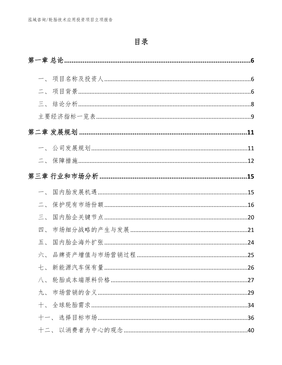 轮胎技术应用投资项目立项报告模板_第2页