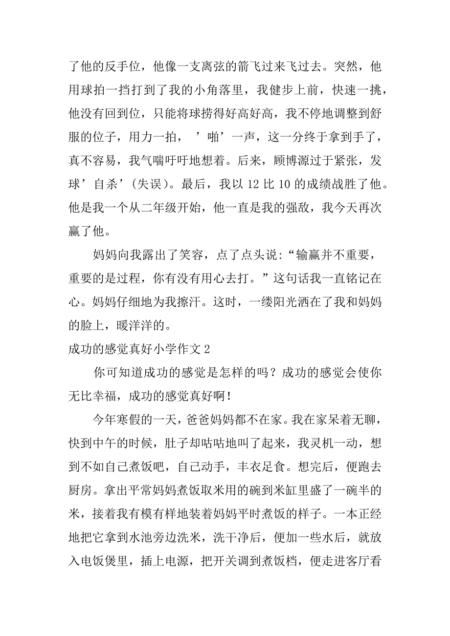 成功的感觉真好小学作文4篇小学生作文成功的感觉真好_第2页