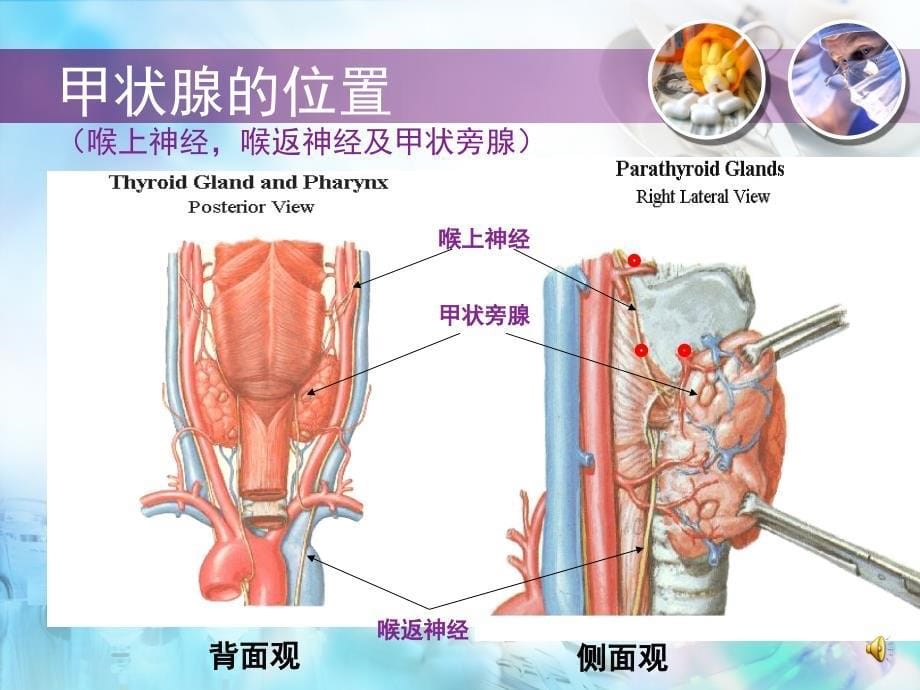 甲状腺术前宣教_第5页