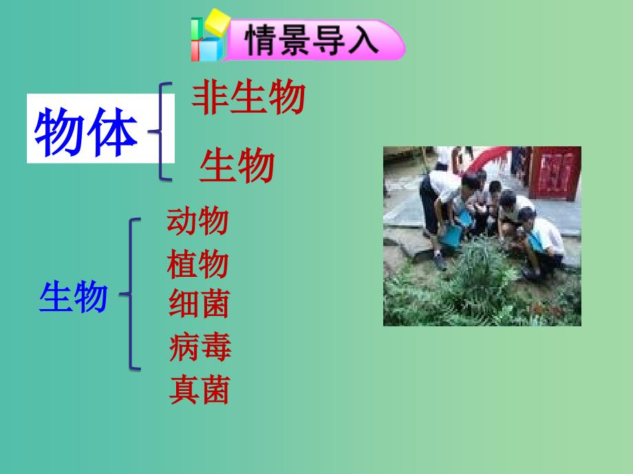 七年级生物上册 2.1.1 探索生命的器具课件 （新版）苏教版.ppt_第2页