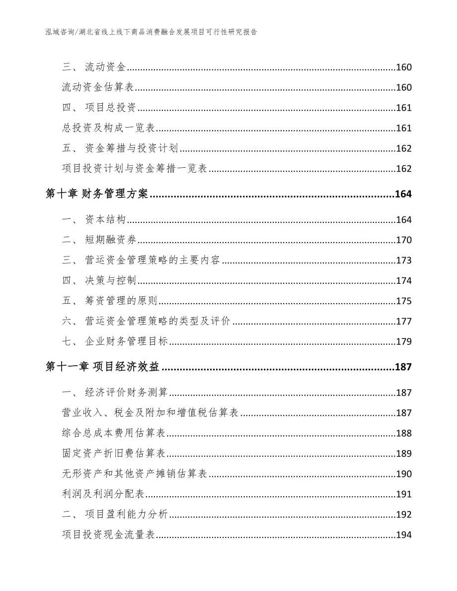 湖北省线上线下商品消费融合发展项目可行性研究报告模板范文_第5页