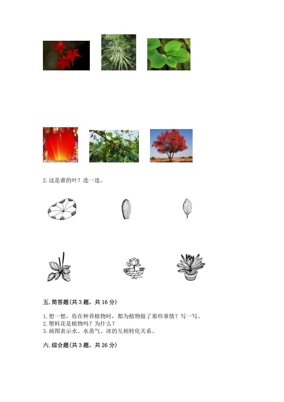 教科版科学一年级上册第一单元《植物》测试卷【网校专用】.docx_第3页