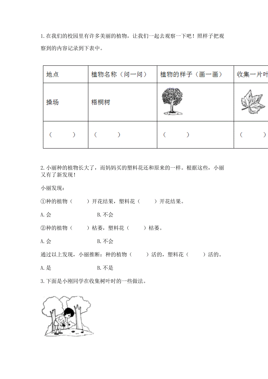 教科版科学一年级上册第一单元《植物》测试卷【网校专用】.docx_第4页