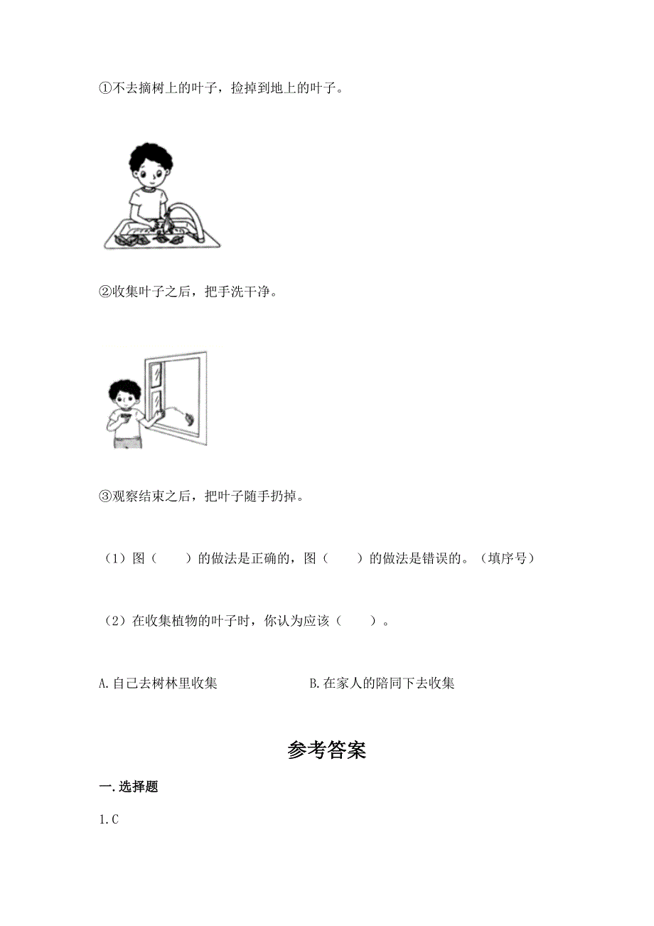 教科版科学一年级上册第一单元《植物》测试卷【网校专用】.docx_第5页