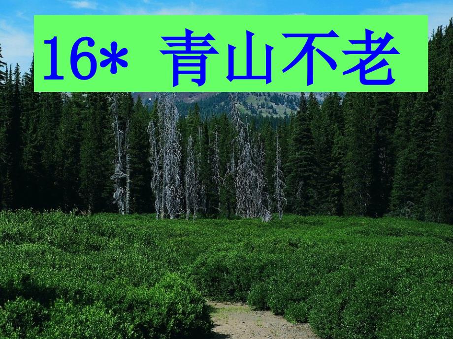 16《青山不老》[1]_第1页